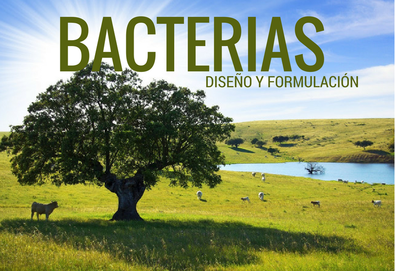 bacterias